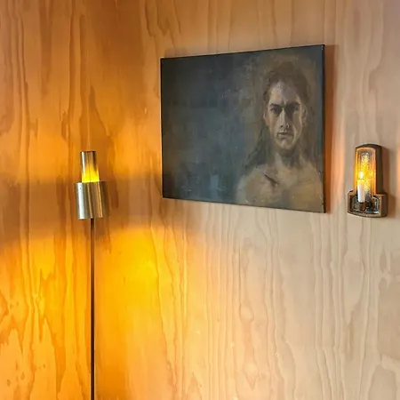 Hus Med Panoramaudsigt Til Fjorden Naer Holiday home *